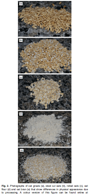 Types of Processed Oats